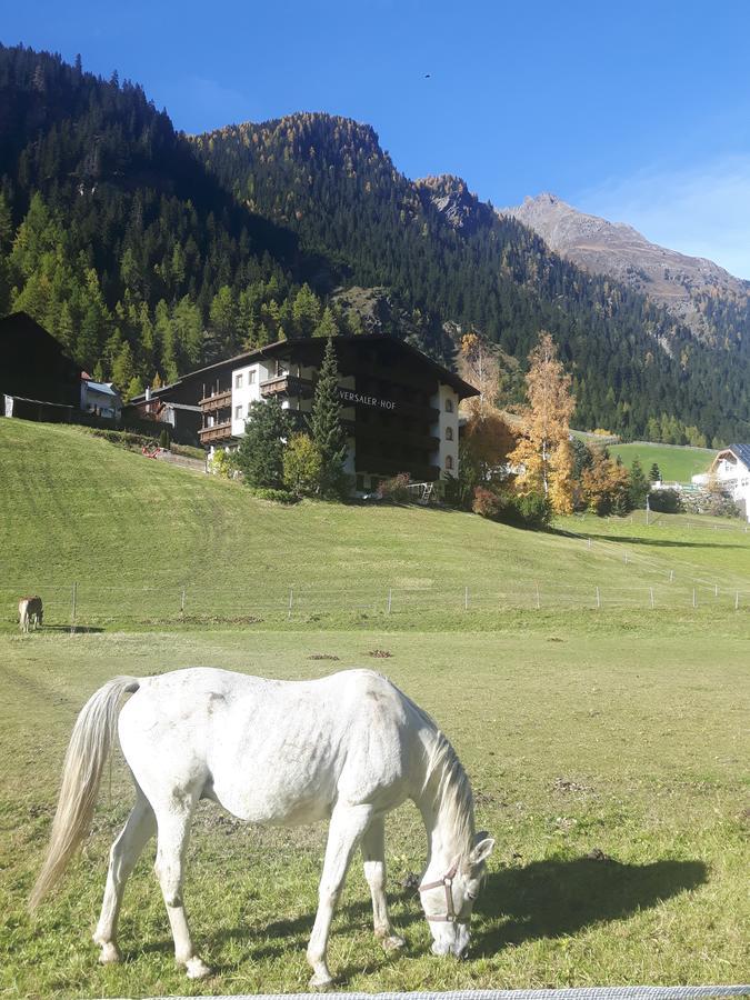 Versalerhof Hotel 3*